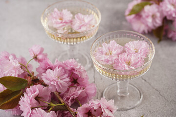 Fototapeta na wymiar Two champagne glasses with splashes of champagne and pink cherry blossom on a grey surface