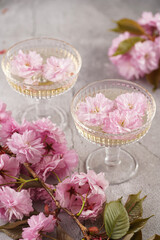 Two champagne glasses with splashes of champagne and pink cherry blossom on a grey surface