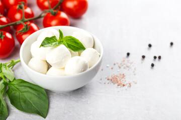 ingredients for caprese salad, mozzarella balls, cherry tomatoes on a branch, fresh basil, spices on a light gray background, horizontal, space for text