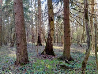 Elk Island forest park 🌲🌳🌲🌳
01.05.2021 