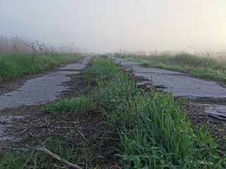 path through the field