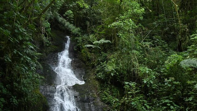 Costa Rica Waterfall in the cloud forest in the high Talamanca mountains, Parque National Los Quetzales, green jungle forest, falling water in National Park, beautiful landscape scenery