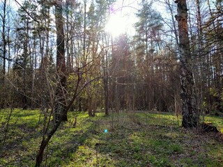 Sunny may day in the woods 🌳🌲☀️🌳🌲
01.05.2021 