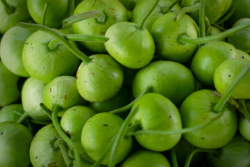Bottle gourd vegetable closed up green