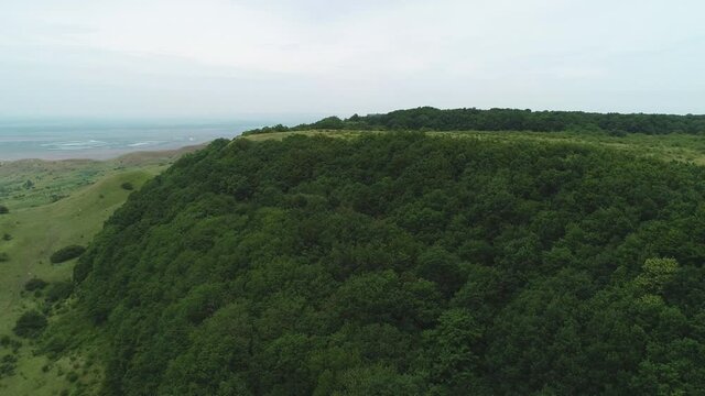 Flight over a green forest glade hill with trees in the evening