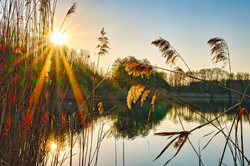 Sonnenaufgang am Waldsee.