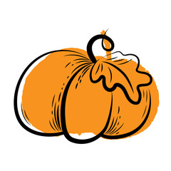 Vector graphic pumpkin with stroke. Pumpkin on Halloween day or Harvest festival. Food sketch illustration.