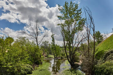 The Laguna de Valchico in the natural space of the Meaques Retamares Environment. Madrid. Spain
