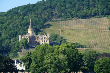 FU 2020-06-01 Bingen 916 eine Kirche steht vor Weinbergen