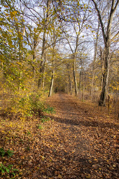 Autumn pictures of a park with colorful trees in Leipzig, Germany,Saxony