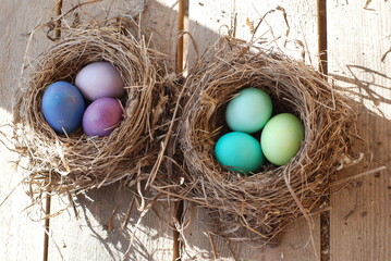 Пасхальные яйца в гнезде