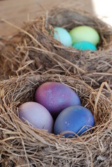 Пасхальные яйца в гнезде