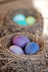 Пасхальные яйца в гнезде