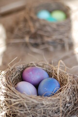 Пасхальные яйца в гнезде