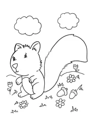 Gordijnen Cute Animal Squirrel Vector Illustration Coloring Book Page Art © Blue Foliage