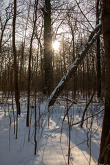 Winter view of the icy and snowy park and river landscapes in Leipzig, Saxony, Germany b