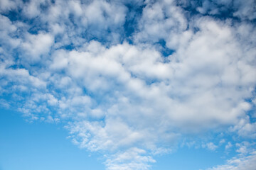 春の空２０２１年（其の五）
