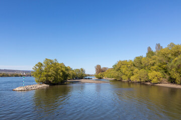 a bird protection area called Jungaue at river Rhine in Ingelheim
