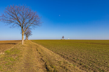 Feld