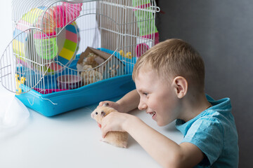 a child plays with a hamster