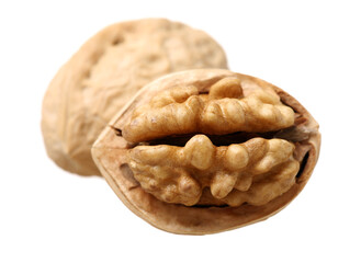 walnuts on a white background