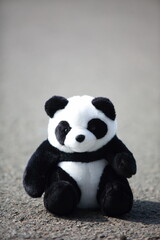panda © kyunghoon