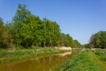 Fototapeta na wymiar Olens Broek nature reserve on a sunny day during springtime with the 'Kleine Nete' river