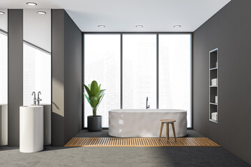 Bathroom interior with bathtub on concrete floor with plant and sink