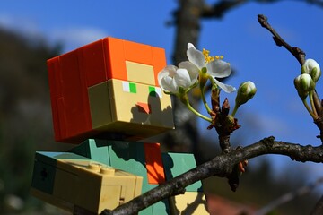 Fototapeta premium LEGO Minecraft action figure of Alex examining beautiful spring white Pear tree flower on branch tip (latin name Pyrus Communis). Blue skies with some clouds and larger tree branch in background. 