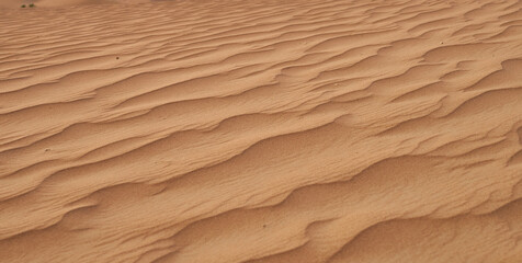 Fototapeta na wymiar beautiful sand patterns in the Abu Dhabi desert