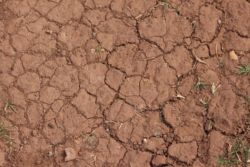 A close up photograph of dried mud, drought conditions