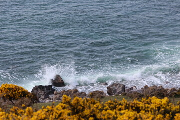 A photograph of the coast at Langland Bay, Gower Peninsula, Wales