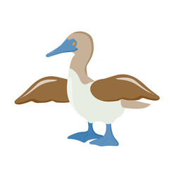 sea ​​bird. gannet. bird with blue paws. Vector illustration isolated on white background.