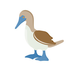 sea ​​bird. gannet. bird with blue paws. Vector illustration isolated on white background.