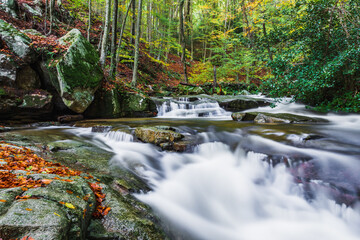 Fototapeta premium Stream in the forest (Montseny Natural Park)
