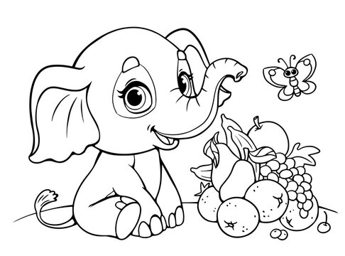Coloring book of little child Baby elephant and fruits. Black and white outline. Zoo. Animals of Africa. Illustration for children. Coloring book. Cartoon characters. Isolated entertainment fun