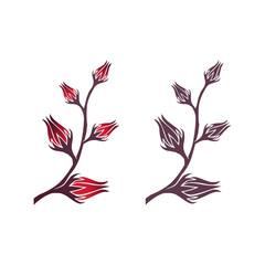 Fototapeta premium Sorrel Logo Illustration collection set bundle - Herb Leaf Plant Natural Organic Healthy Flower Red Fruit Rozella Sweet Tea