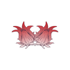 Sorrel Logo Illustration - Herb Leaf Plant Natural Organic Healthy Flower Red Fruit Rozella Sweet Tea