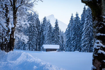 winter in the mountains