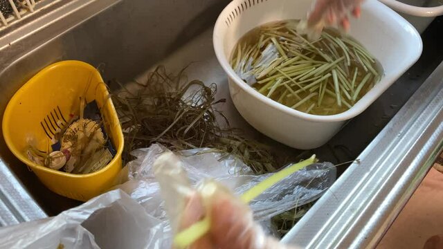 流しでフキの筋取りをする主婦の手元クローズアップ。田舎暮らし/地方へ移住/日常的な光景。山菜/フキの下処理/食事の準備中