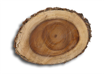 Stump wooden texture surface of the face, where the insect, pierces, causes death. isolated on white background. This has clipping path.  