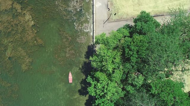 Flight over the lake within the city