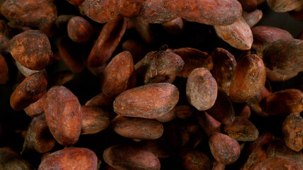 Cocoa beans flying in the air in freeze motion