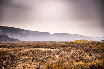 Fototapeta premium Fog in front of cliff walls along the Rio Grande