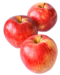 Fototapeta na wymiar Red three apple isolated