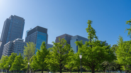 Obraz na płótnie Canvas 高層ビルと街路樹と青空の風景。日本、東京都千代田区。