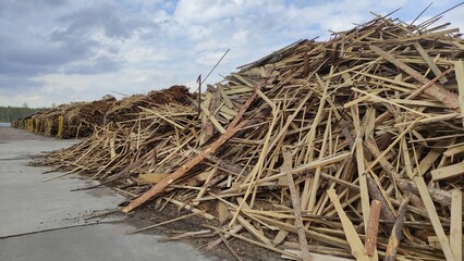 Alternative fuel, ecological fuel, biofuel Wood sawdust, sawdust close-up background. Sawdust...