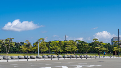 日本の東京にある名所。皇居外苑の風景。皇居でランニングをする人。
