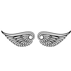beautiful bright color illustration of black and white wings on the background