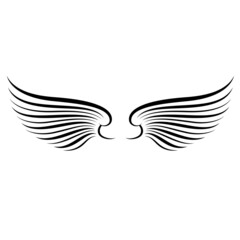 beautiful bright color illustration of black and white wings on the background